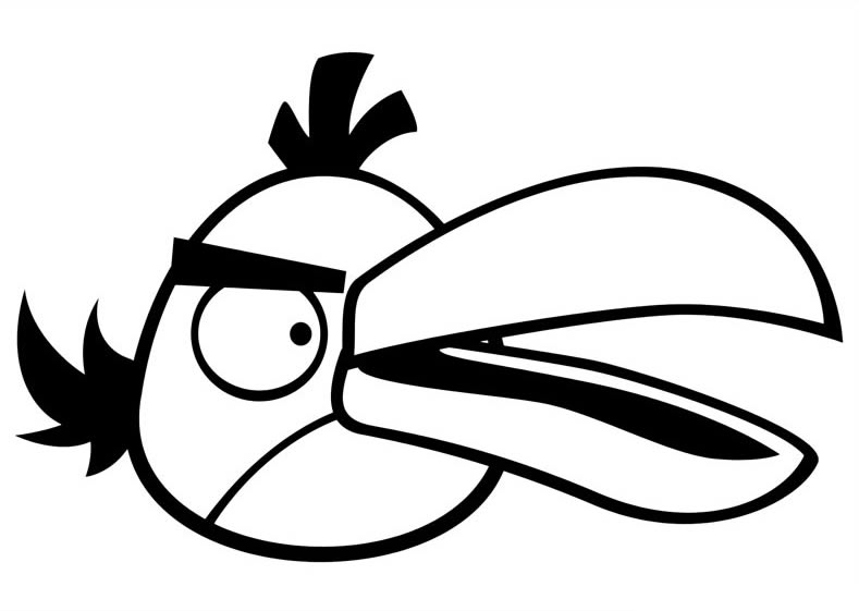 Angry Birds papagaj