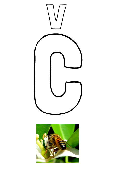 Pobarvanka črke Č