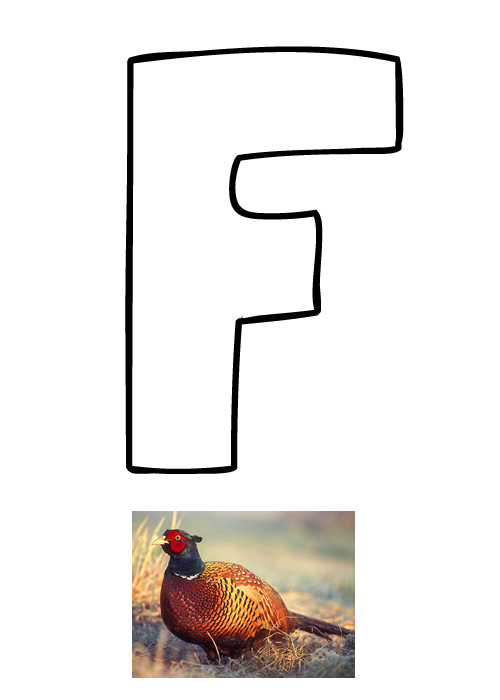 Črka F