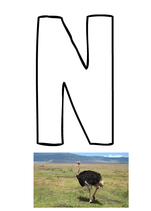 Črka N