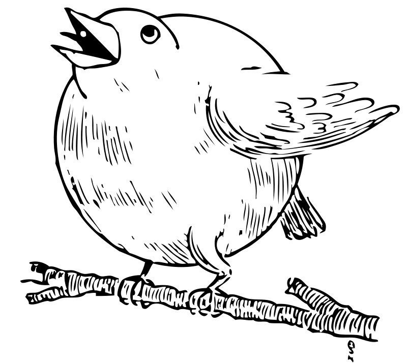 Debela ptička