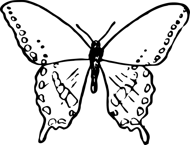 Enostavni metulj