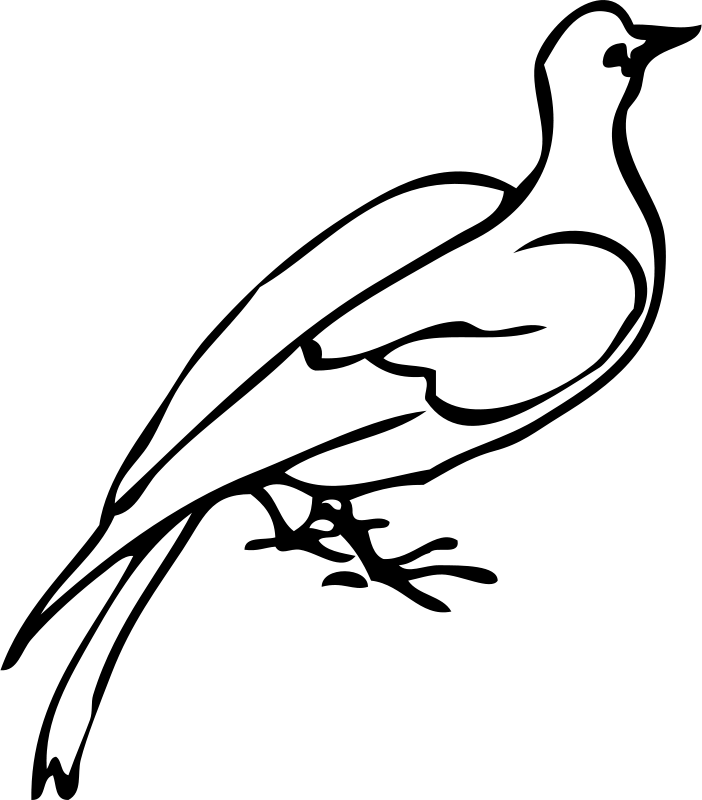 Galob 3