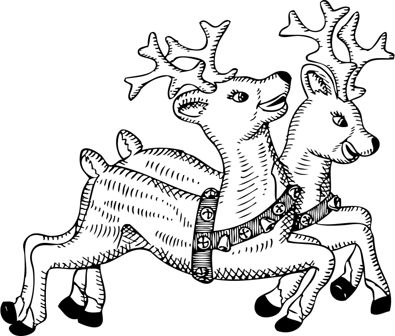 Prikupna jelenčka
