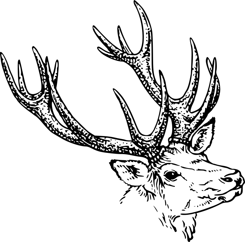 Jelenčkova glava