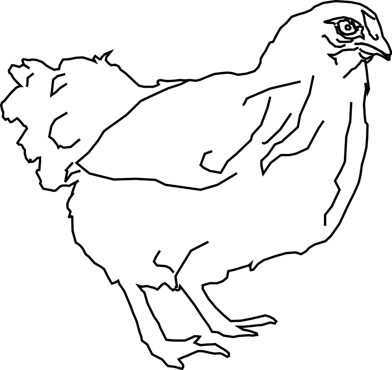 Kokoš