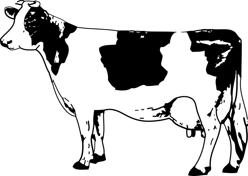 Krava 2