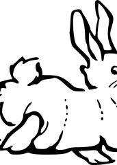 Prikupni zajec