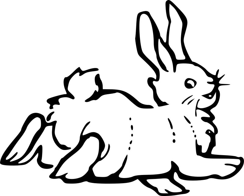 Prikupni zajec