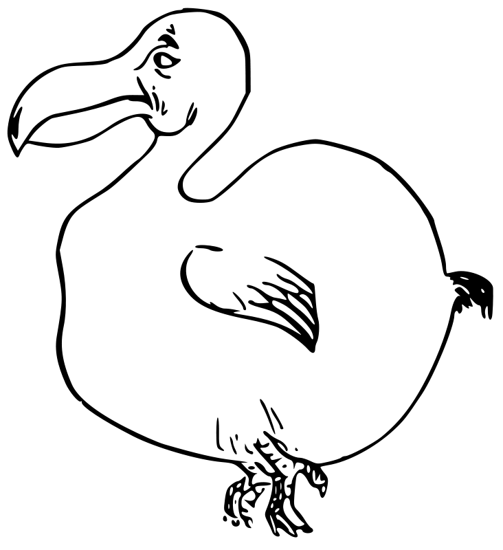 Smešna ptica