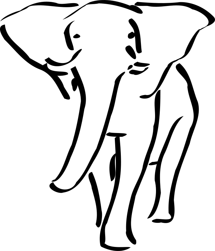 Slon 4