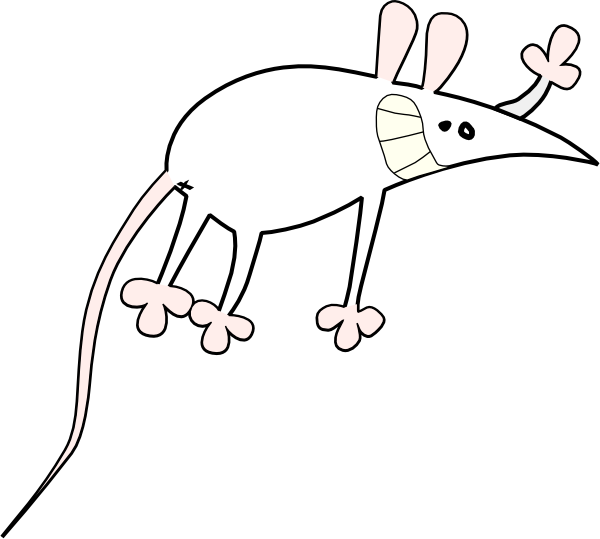 Smešna miška