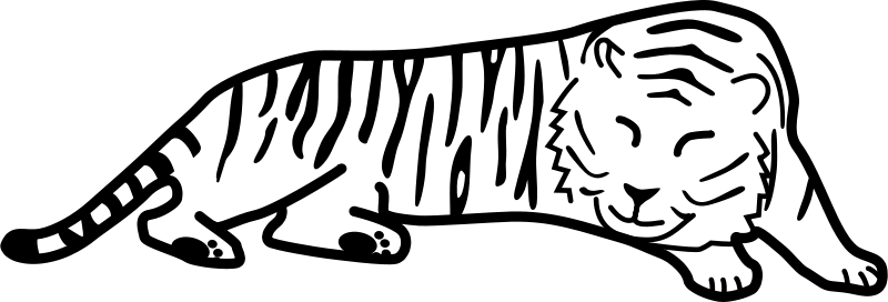 Tiger pri spanju