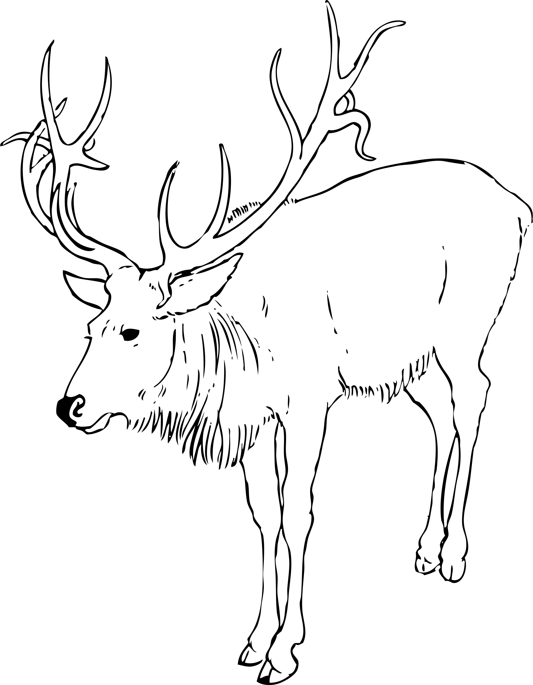 Velik jelen