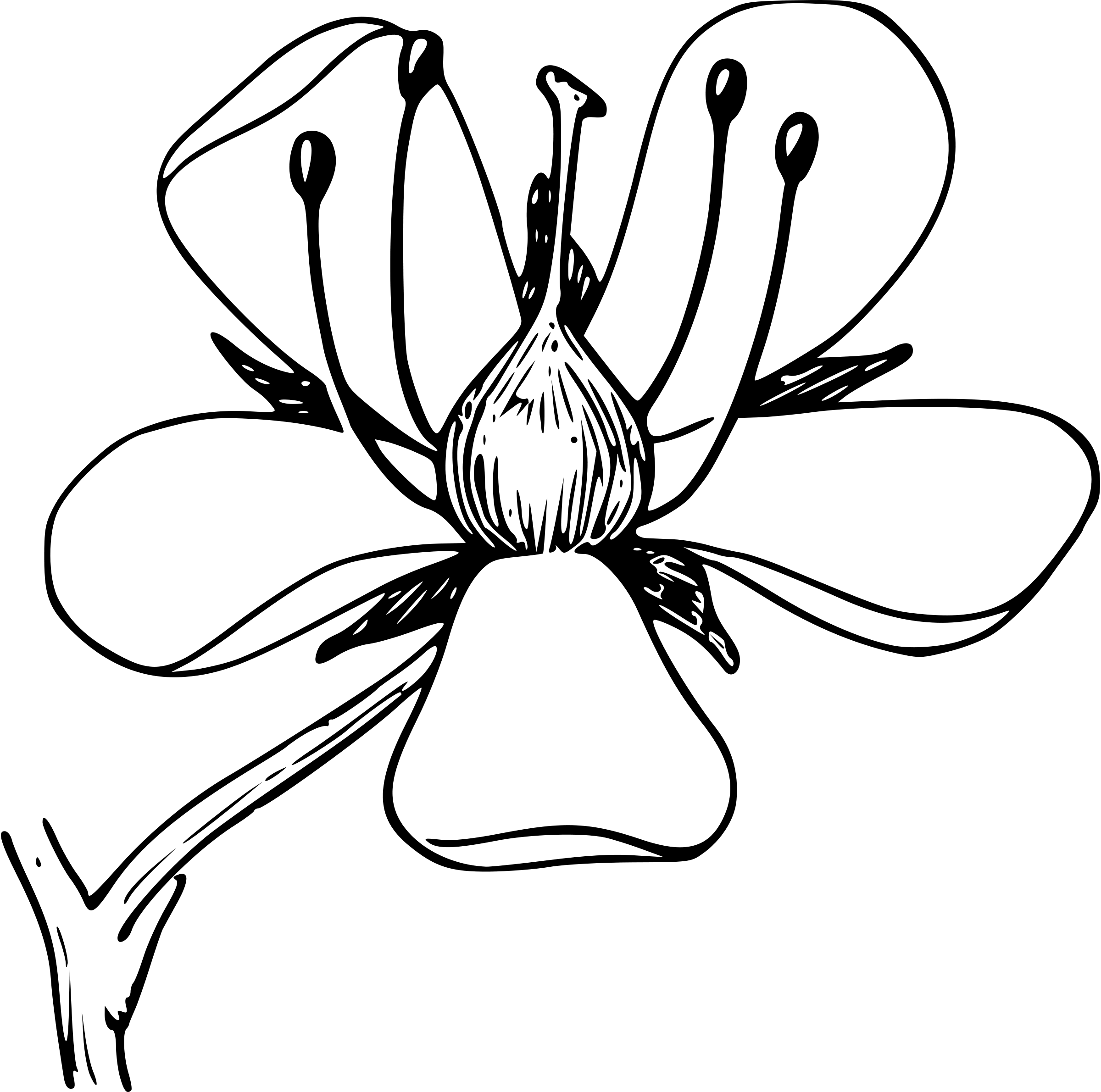 Venčni list